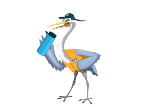 A cartoon great blue heron wearing a yellow safety vest, blue baseball cap and holding a water bottle.