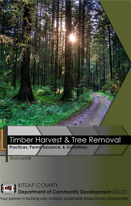 TimberHarvest_thumb.jpg